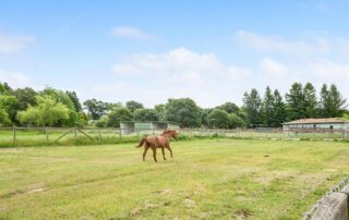 795 Edwards Lane Sebastopol Horse Property 37