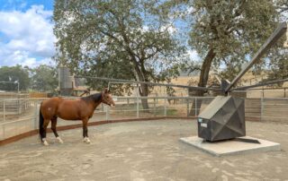 4072 W Olivet Rd Santa Rosa Horse Property 19