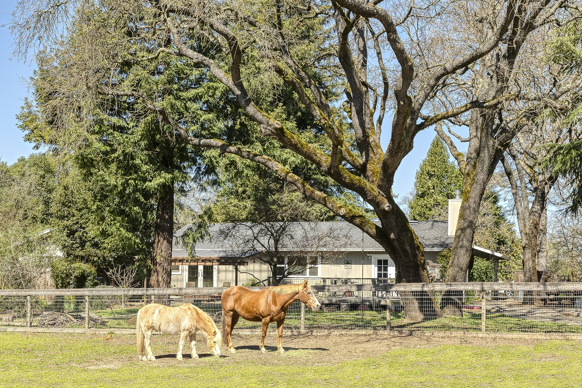 2475 Olivet Road Santa Rosa Horse Property